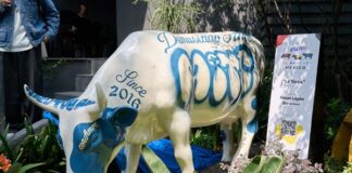 artistas del CowParade 2025