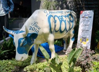 8 artistas mexicanos comparten su visión sobre el arte que nutre en CowParade 2025 artistas del CowParade 2025