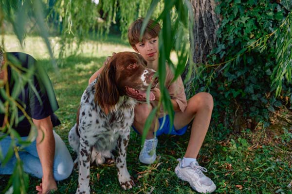 proteger-mascotas-en-verano cómo proteger mascotas en verano