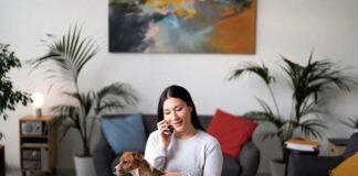 importancia de tener seguro para mascotas