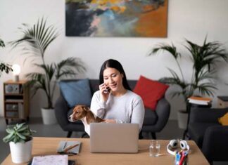 importancia de tener seguro para mascotas