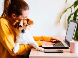 cómo crear una empresa pet friendly