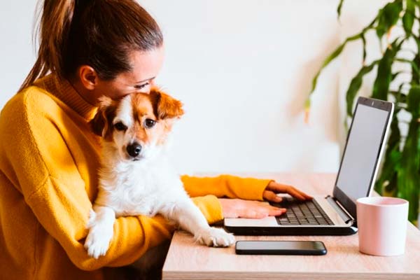 pets-at-work cómo crear una empresa pet friendly