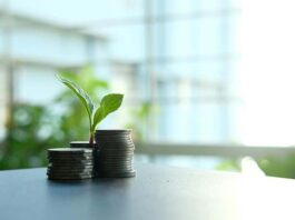 Economía verde: El impacto del calentamiento global en el mercado laboral nuevos empleos generados por economía verde