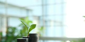 nuevos empleos generados por economía verde