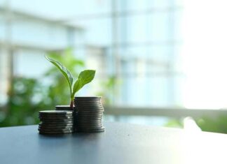 nuevos empleos generados por economía verde