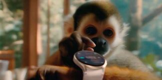 Smart Week Mercado Libre y Samsung