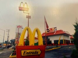 McDonald’s cumple 40 años en México: Una historia de logros e innovación en nuestro país McDonald's cumple 40 años en México