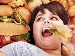 comida rápida contra haute cuisine