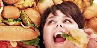 comida rápida contra haute cuisine