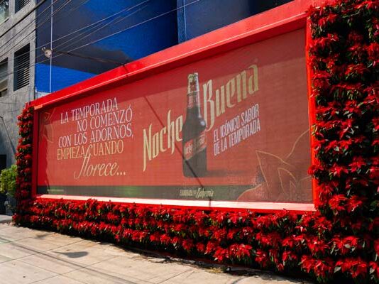 mural con flores de nochebuena Bohemia