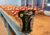 campaña Recuerda, son Wonderful de Wonderful Pistachios
