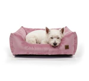 beneficios de cuidar una mascota