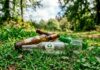 El valor del reciclaje de vidrio: Novoglass y su apuesta por la economía circular reciclaje de vidrio