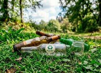 El valor del reciclaje de vidrio: Novoglass y su apuesta por la economía circular reciclaje de vidrio