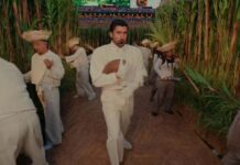 lecciones de Bad Bunny a profesionales del marketing