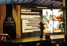 Agave Loop ganador Torres Brandy Zero Challenge