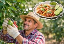 Consumo de limón en México: un ingrediente indispensable en la dieta nacional Consumo de limón en México