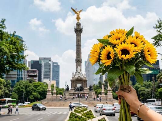 regalar flores amarillas