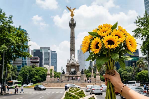 dia-de-las-flores-amarillas regalar flores amarillas