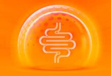 por qué consumir fibra soluble