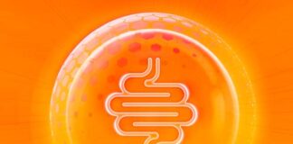 por qué consumir fibra soluble