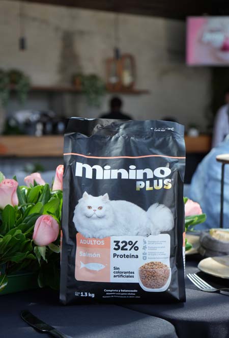 alimento para gatos con salmón