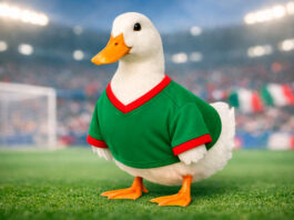 impacto del Pato Merlín
