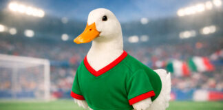 impacto del Pato Merlín