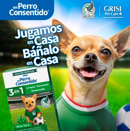 jabón para perro