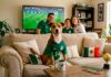 cómo preparar a tu perro para el mundial