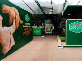 La Casa de los 100 años: Dog Chow instala experiencia con actividades para los peludos Casa de los 100 años Dog Chow