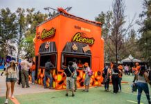 El éxito no siempre se exporta: Cómo construir una marca global en el mercado mexicano cómo posicionar una marca en un nuevo mercado
