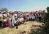 Helados Holanda reforesta 2,500 árboles en la Sierra de Guadalupe Helados Holanda reforesta la Sierra de Guadalupe
