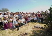 Helados Holanda reforesta 2,500 árboles en la Sierra de Guadalupe Helados Holanda reforesta la Sierra de Guadalupe