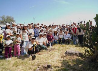 Helados Holanda reforesta 2,500 árboles en la Sierra de Guadalupe Helados Holanda reforesta la Sierra de Guadalupe