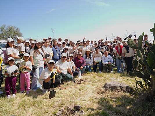 Helados Holanda reforesta 2,500 árboles en la Sierra de Guadalupe Helados Holanda reforesta la Sierra de Guadalupe