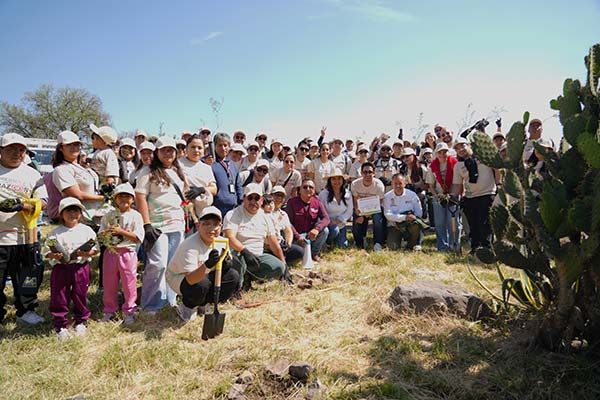 reforestacion-helados-holanda Helados Holanda reforesta la Sierra de Guadalupe