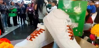 Panam lanza tenis del Pato Merlín