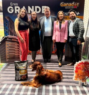 alimento para perros senior