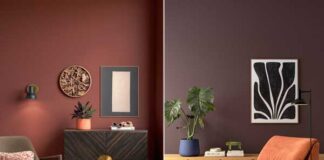 Colormix Renacer