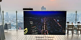 LG OLED evo W6 Wallpaper